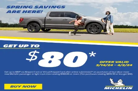 Michelin Tire get up to $80 back offer